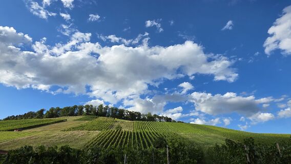 Foto da Michaela Fritz 3 lungo il tour