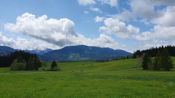 Photo de Thomas Schekira le long du parcours
