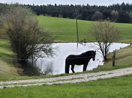 Foto von josef duermoser entlang der Tour