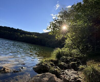 Zdjęcie z Natur_erleben_dg wzdłuż trasy