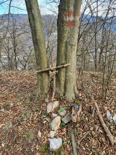 Kuva osoitteesta Hans Reiter 2 matkan varrella