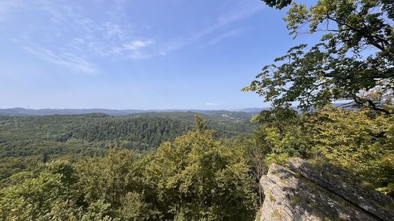 Fotografija s spletne strani Anita Geißler na poti