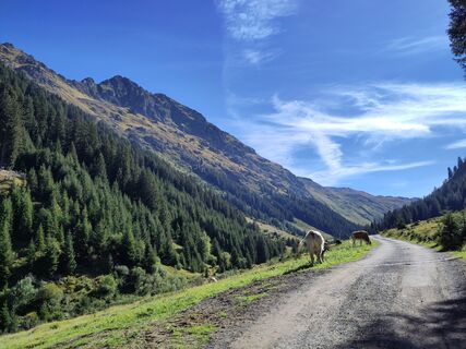 Fotografija s spletne strani Kriskind na poti