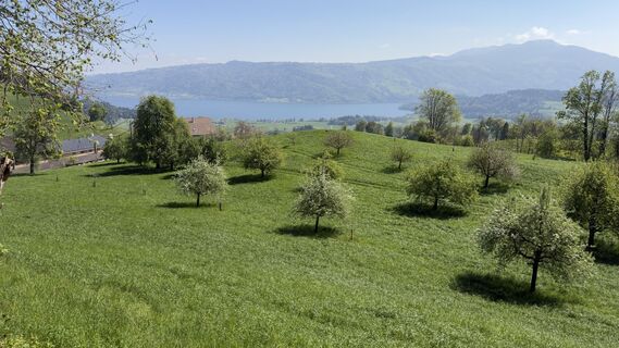 Zdjęcie z Peter Burki wzdłuż trasy