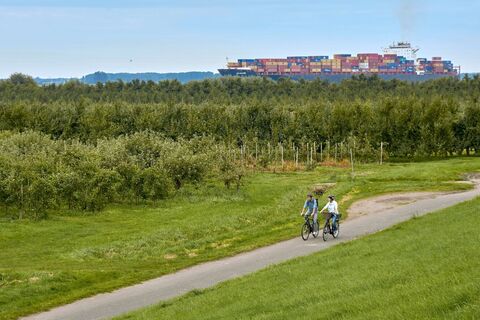 Radfahrer auf dem Elberadweg