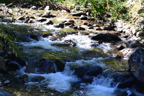 Rauschendes Bächlein