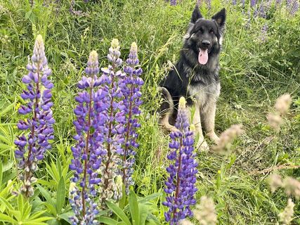 Fotó a Freund der Berge honlapról a túra során