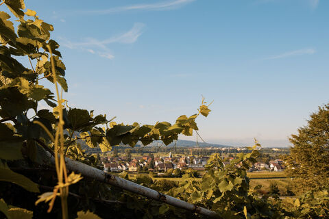 Blick auf Buchholz