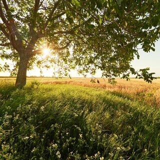Ausblick Steppe