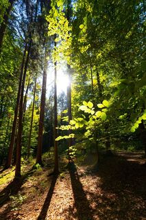Am Planetenwanderweg
