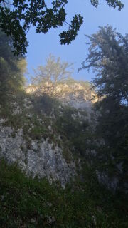 der Nebel lichtet sich