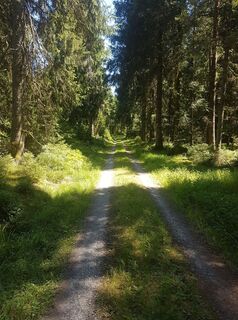 Foto von stefan seiler 3 entlang der Tour