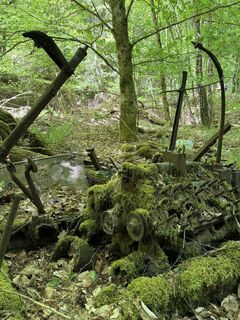 Photo de Keven Schimberg le long du parcours