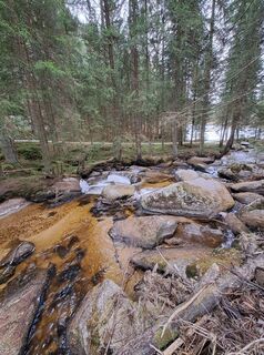 Foto de Joe a lo largo del recorrido
