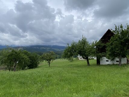 Foto von Voltzi entlang der Tour