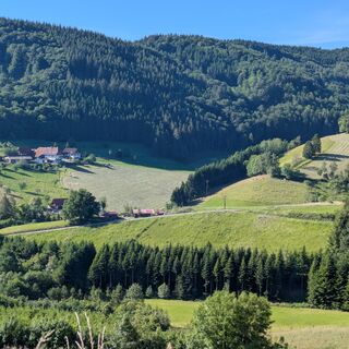 Schwarzwald-Idylle pur