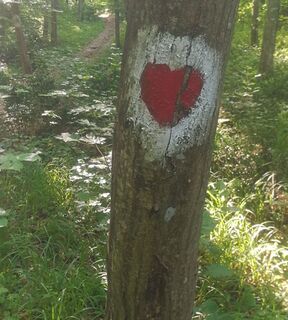 Wanderweg in der Fruška Gora