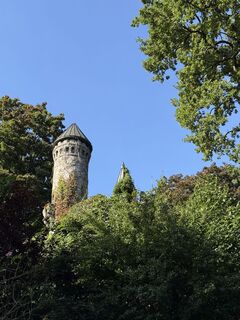 Foto fra Ilona Schuster underveis på turen