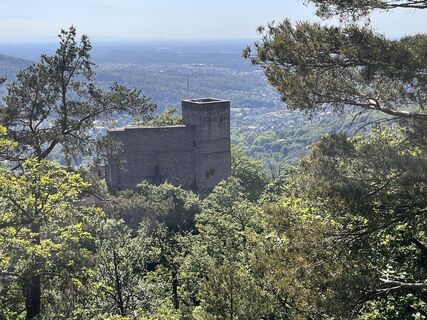 Fotografia z Markus Raab 2 na trase