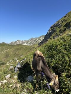 Foto de Lara Gerstberger a lo largo del recorrido