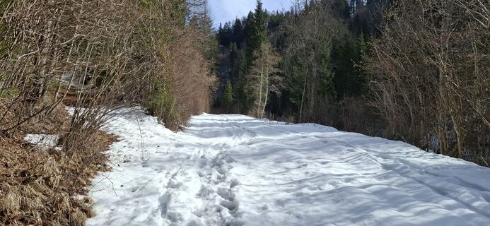 Photo de Christian Freythaler le long du parcours