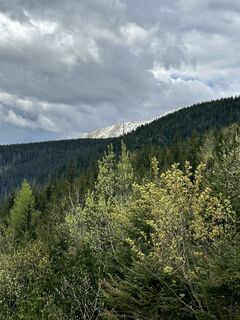 Foto von Iwona Domagalska entlang der Tour