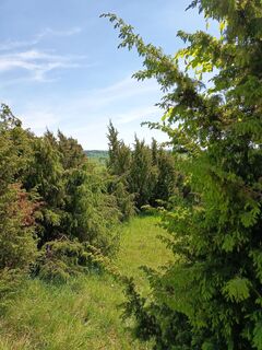 Foto von SvenScherer7 entlang der Tour