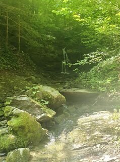 Foto von Daniela Liener-Hiesböck entlang der Tour