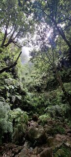 Foto fra Petra Poslusny undervejs på turen