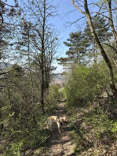 Fotografia z Robert Ressler na trase