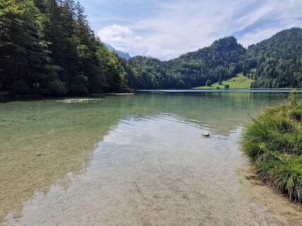 Fotografie z Cristian Mario Rota na trase