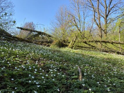 Фото с сайта justasimpleguy во время экскурсии