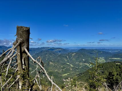 Foto från Kathrin Schmidt 1 under resans gång