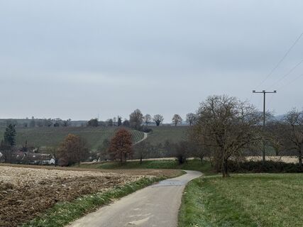 Zdjęcie z InesW wzdłuż trasy