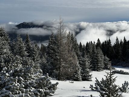 Foto de Heidi Riegler a lo largo del recorrido