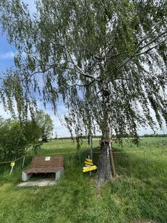 Photo de Harald Knill le long du parcours