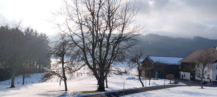 Fotografia z Frieda Schatz na trase