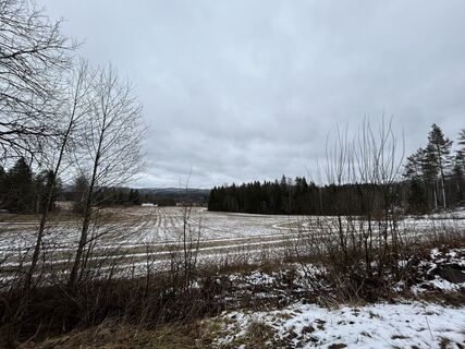 Zdjęcie z Jessica Buendia wzdłuż trasy