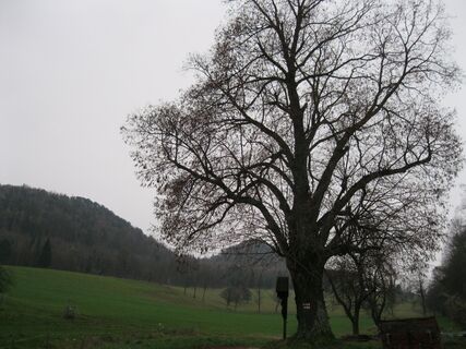 Gaisstein und Kieneck