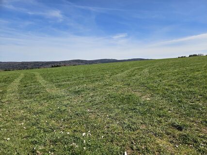 Foto von Preismarkus entlang der Tour