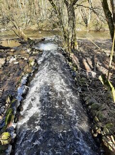 Fotografie z kees van duin na trase