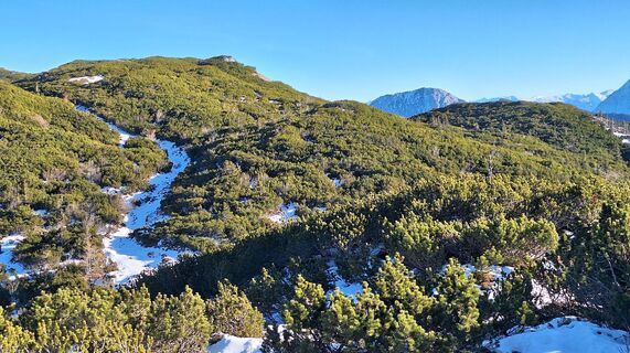 Foto von Regina Fleischmann entlang der Tour