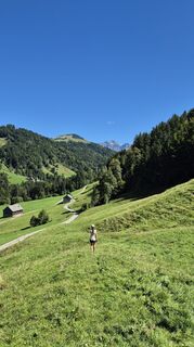 Foto från alinradu under resans gång