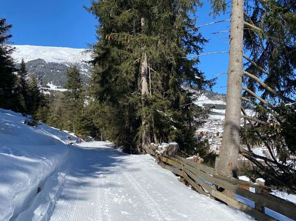 Waldweg nach Serfaus