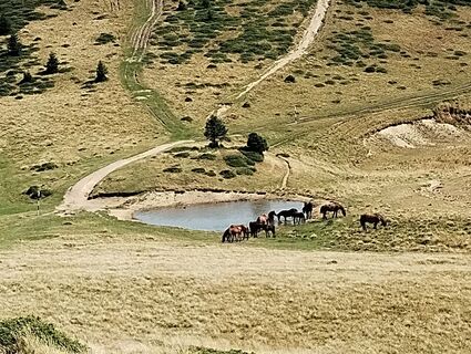 Fotografia z Tasurinki Mitote na trase