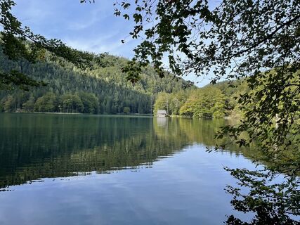 Photo de Harald Daspelgruber le long du parcours