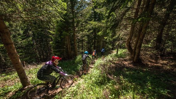 Mountainbike-Strecke Moulinator 2