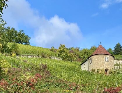 Foto von Jens Baumann 1 entlang der Tour
