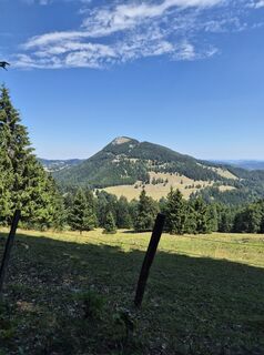 Fotografija s spletne strani aliceortler na poti
