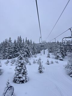 Fotografija s spletne strani Léa LANGLET na poti